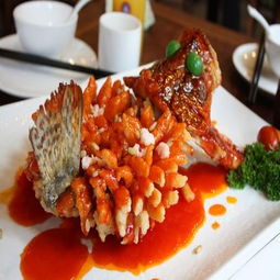 小廚娘淮揚(yáng)菜加盟條件、費(fèi)用及聯(lián)系方式詳解